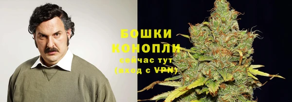 спиды Костерёво