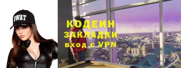 шишки Коряжма
