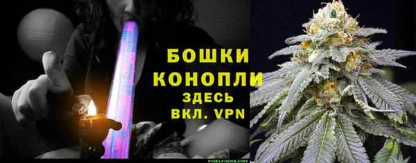 шишки Коряжма